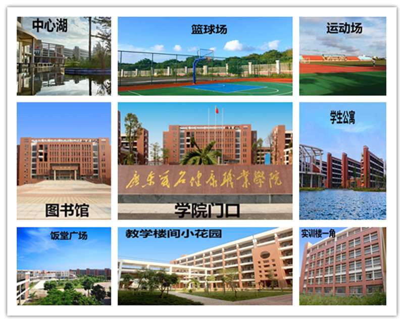 640 (2).webp_副本.jpg