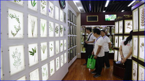 1598355520133449.png image.png