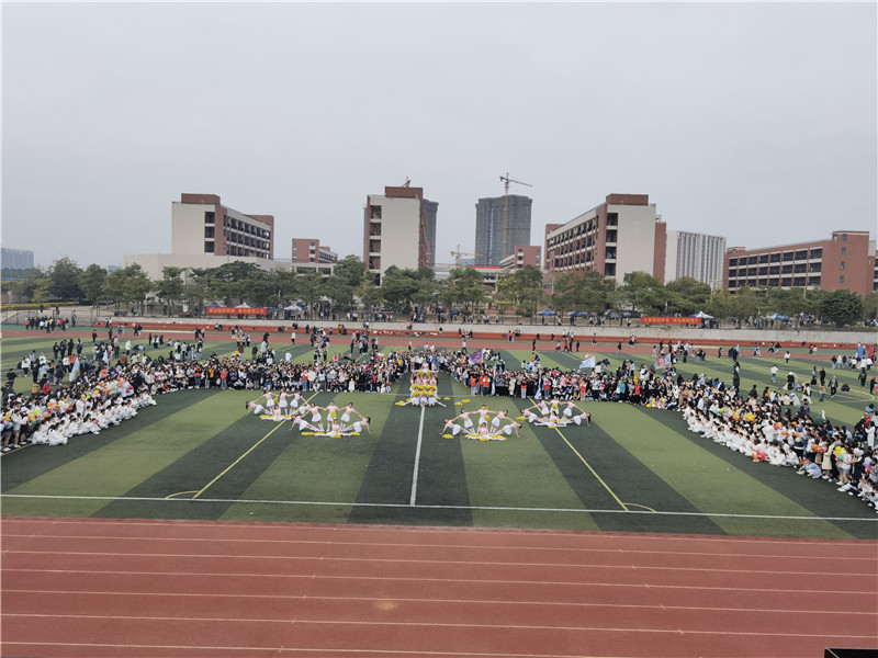 1608774024891684.jpg 544.jpg