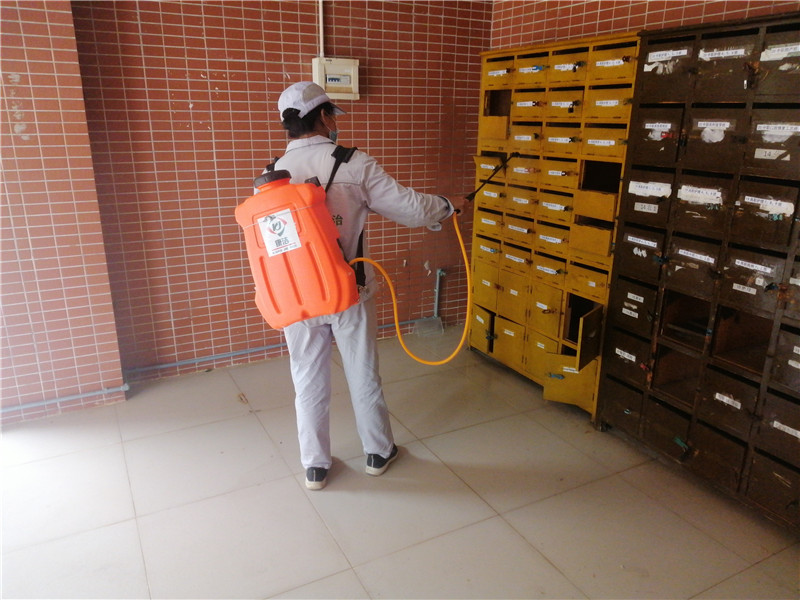 1614937767712471.jpg 396bf2c02698dadf7c0a473b9417ea5.jpg