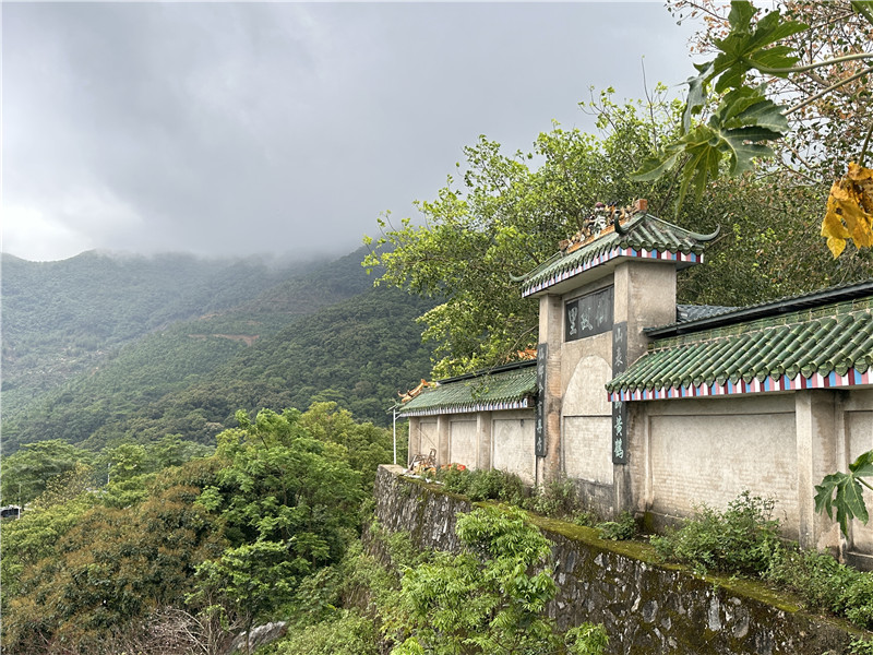 1682395342576721.jpg d53fc8bbaca833d1efc6d15a0a5468f.jpg