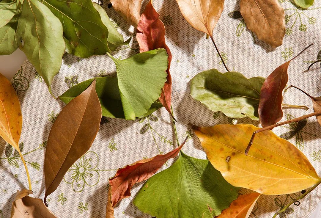 1694588218572120.jpg c9d8fc8a9391e4227e9033eb77bed113_640_wx_fmt=jpeg&wxfrom=5&wx_lazy=1&wx_co=1.jpg