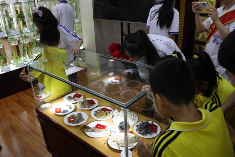 图为学生参观潘茂名中药标本馆.png