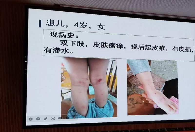 图片33.png