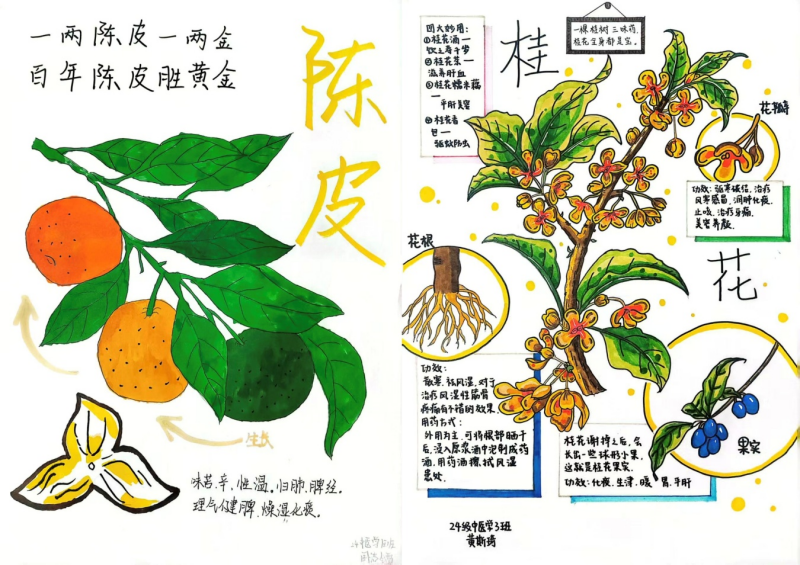 图片32.png