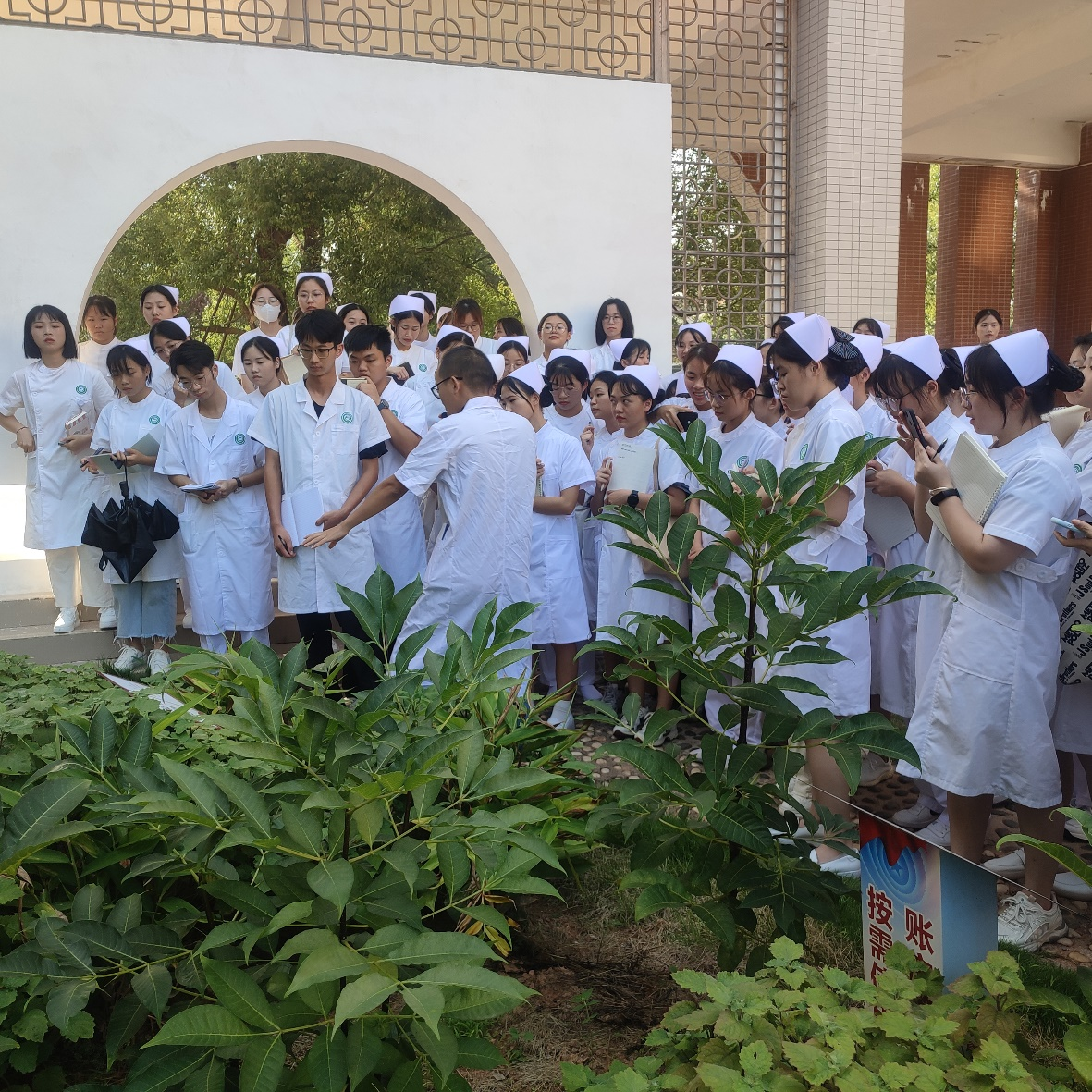 学生在植物园开展实训教学.png